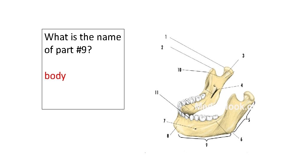 What is the name of part #9? body 