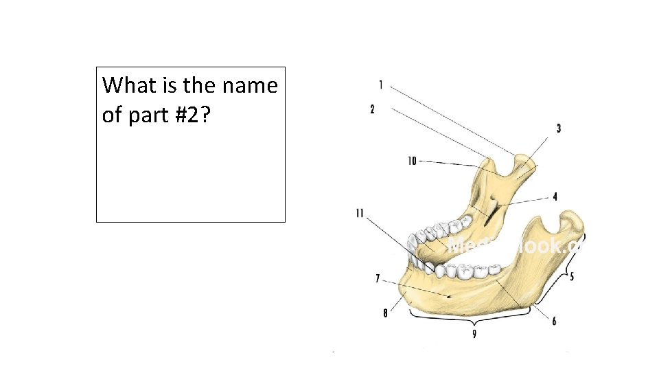 What is the name of part #2? 