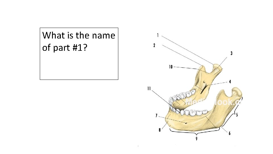 What is the name of part #1? 