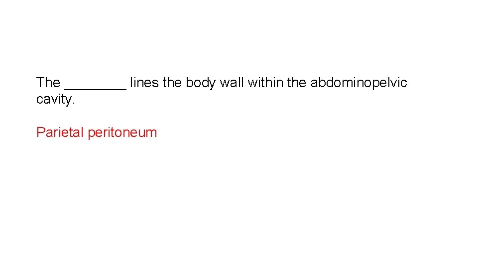 The ____ lines the body wall within the abdominopelvic cavity. Parietal peritoneum 