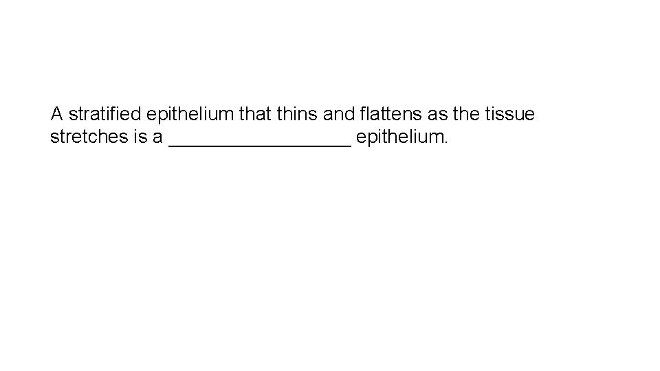 A stratified epithelium that thins and flattens as the tissue stretches is a _________