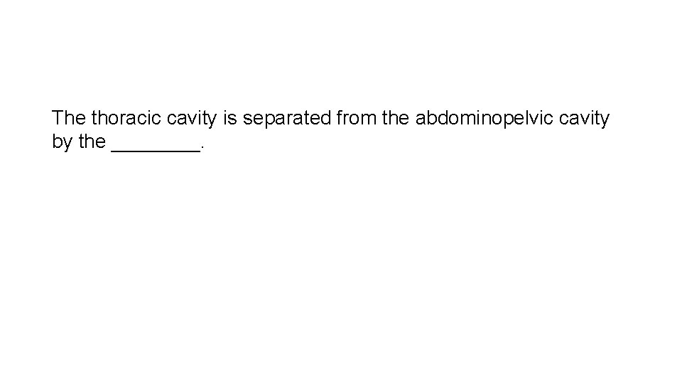 The thoracic cavity is separated from the abdominopelvic cavity by the ____. 