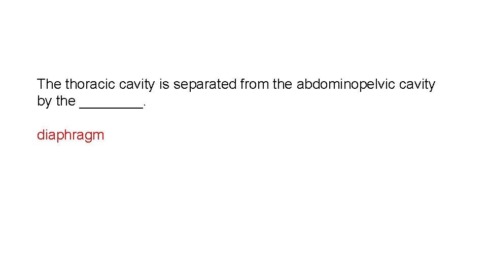 The thoracic cavity is separated from the abdominopelvic cavity by the ____. diaphragm 