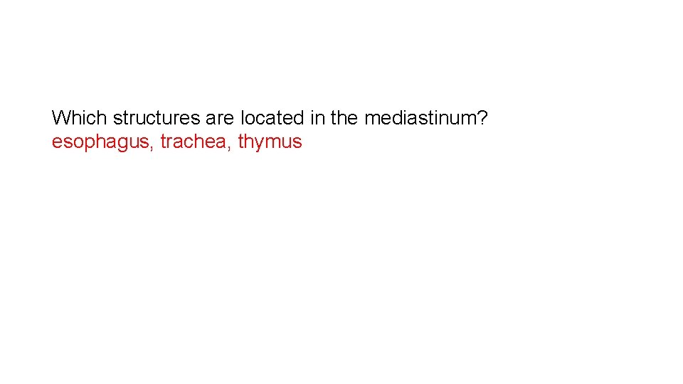 Which structures are located in the mediastinum? esophagus, trachea, thymus 