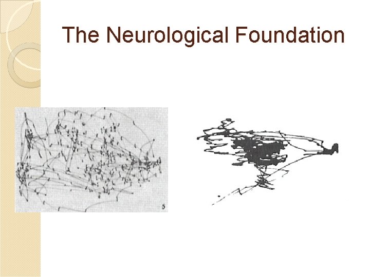 The Neurological Foundation The Neurological Foundation