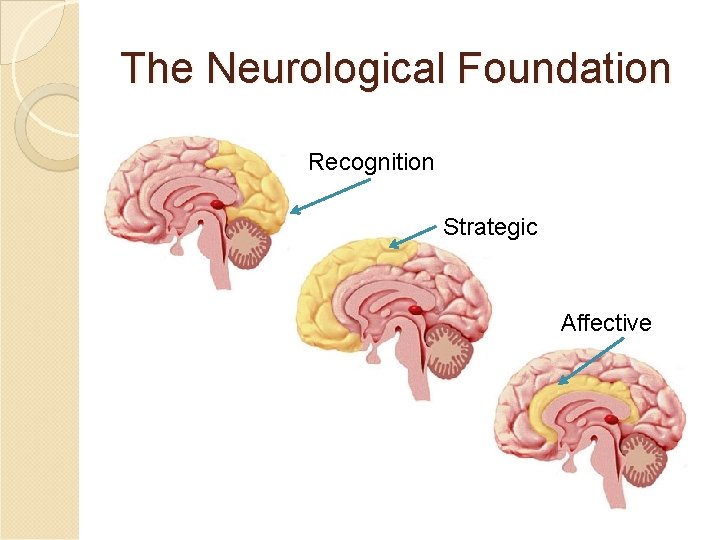 The Neurological Foundation Recognition Strategic Affective The Neurological Foundation Recognition Strategic Affective