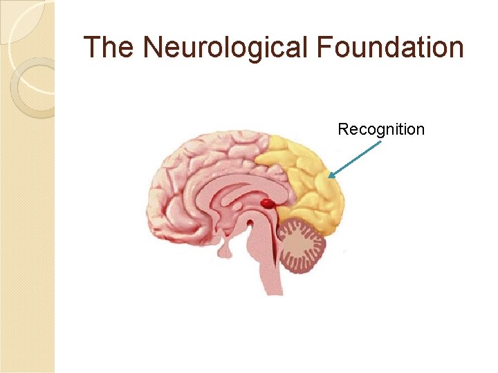 The Neurological Foundation Recognition The Neurological Foundation Recognition