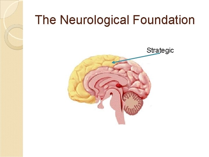 The Neurological Foundation Strategic The Neurological Foundation Strategic
