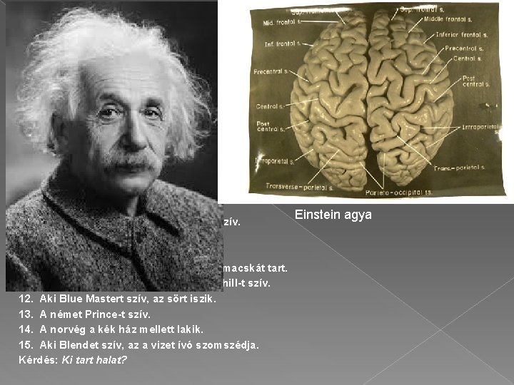 Egy feladat a XX. századból Ezt a feladatot állítólag Einstein írta: 1. Öt ház