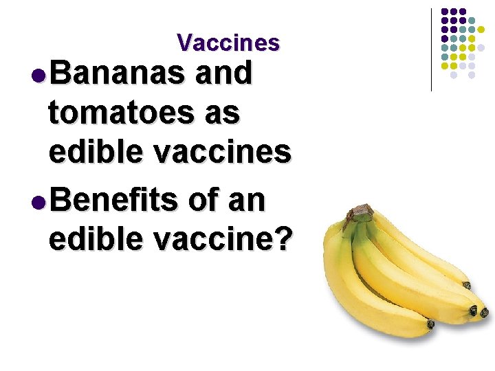 Vaccines l Bananas and tomatoes as edible vaccines l Benefits of an edible vaccine? Vaccines l Bananas and tomatoes as edible vaccines l Benefits of an edible vaccine?