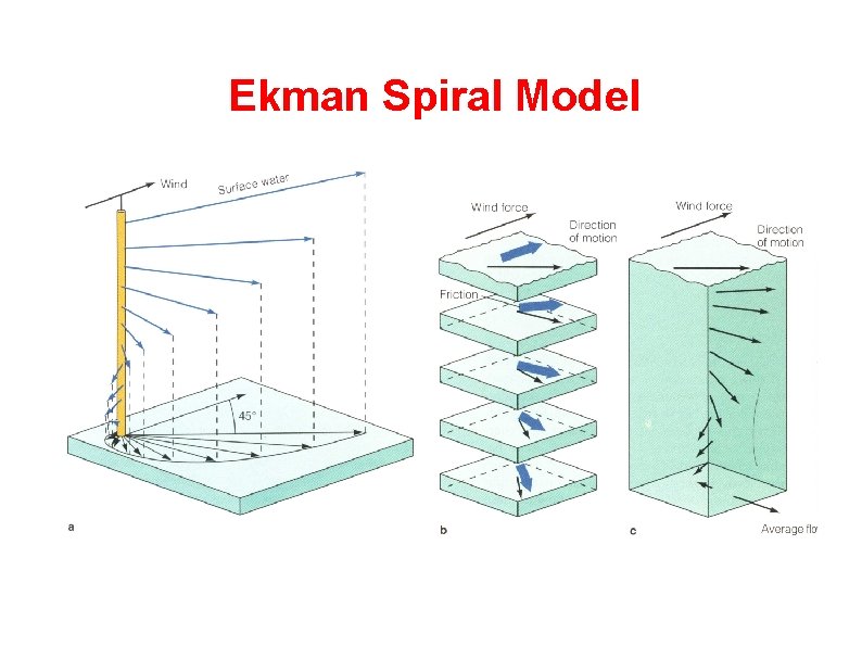 Ekman Spiral Model 