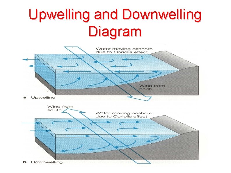 Upwelling and Downwelling Diagram 