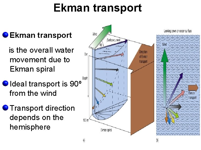 Ekman transport is the overall water movement due to Ekman spiral Ideal transport is