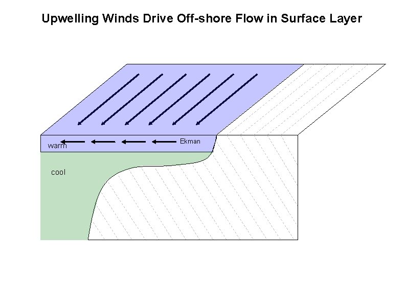 Upwelling Winds Drive Off-shore Flow in Surface Layer warm cool Ekman 