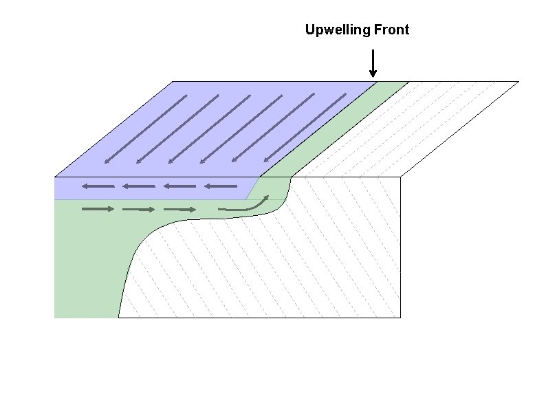 Upwelling Front 