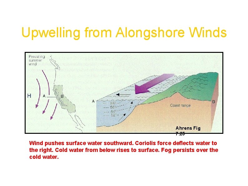 Upwelling from Alongshore Winds Ahrens Fig 7. 25 Wind pushes surface water southward. Coriolis