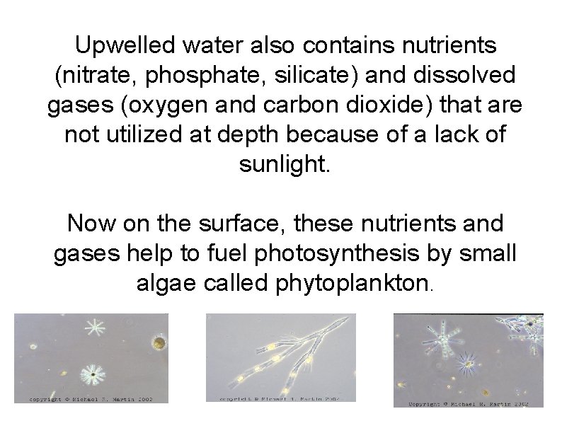 Upwelled water also contains nutrients (nitrate, phosphate, silicate) and dissolved gases (oxygen and carbon