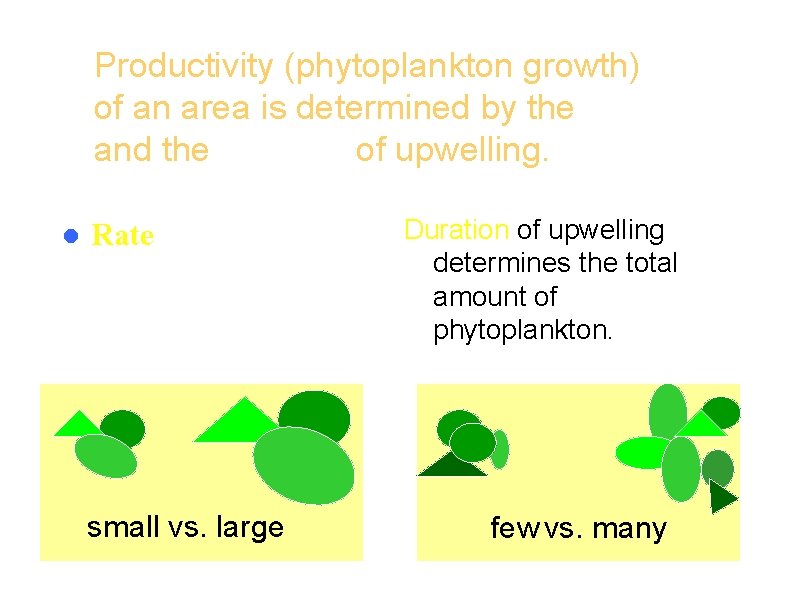 Productivity (phytoplankton growth) of an area is determined by the rate and the duration