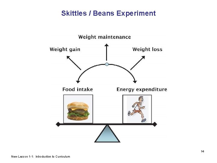 Skittles / Beans Experiment 14 New Lesson 1 -1: Introduction to Curriculum 