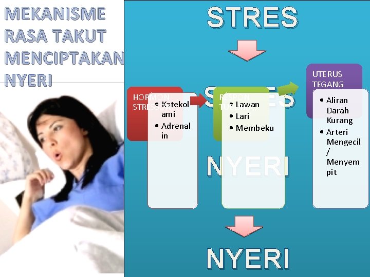 MEKANISME RASA TAKUT MENCIPTAKAN NYERI STRES HORMON • Katekol STRESSOR ami • Adrenal in