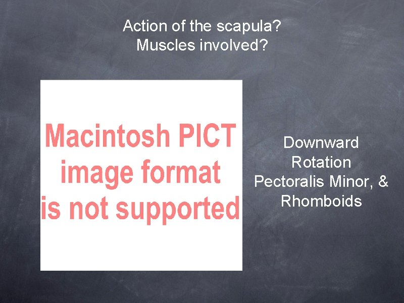 Action of the scapula? Muscles involved? Downward Rotation Pectoralis Minor, & Rhomboids 