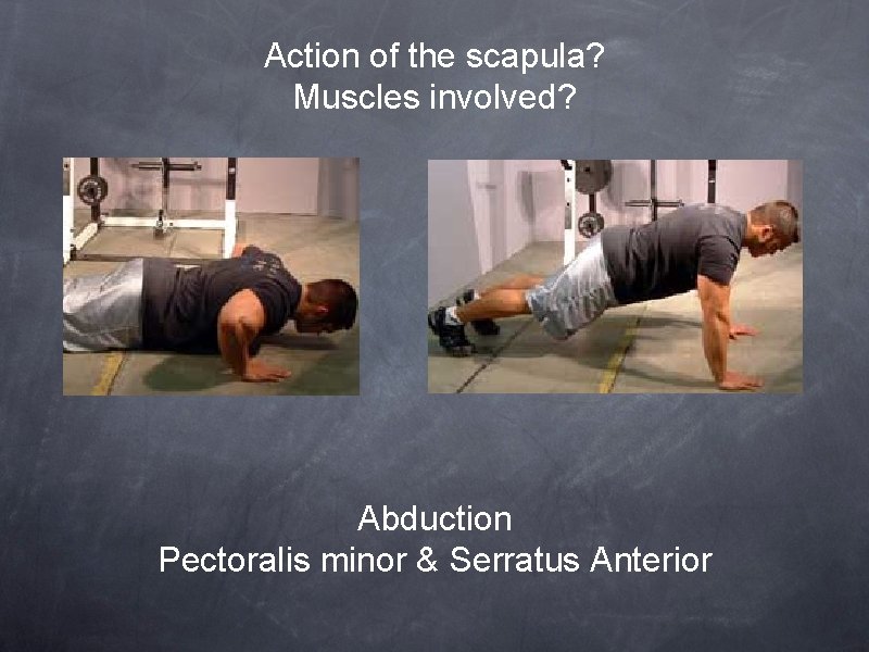 Action of the scapula? Muscles involved? Abduction Pectoralis minor & Serratus Anterior 