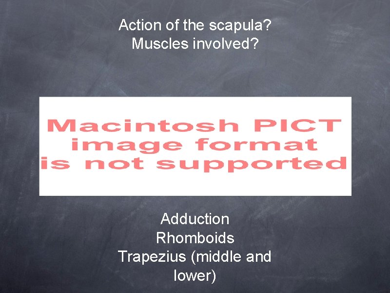 Action of the scapula? Muscles involved? Adduction Rhomboids Trapezius (middle and lower) 