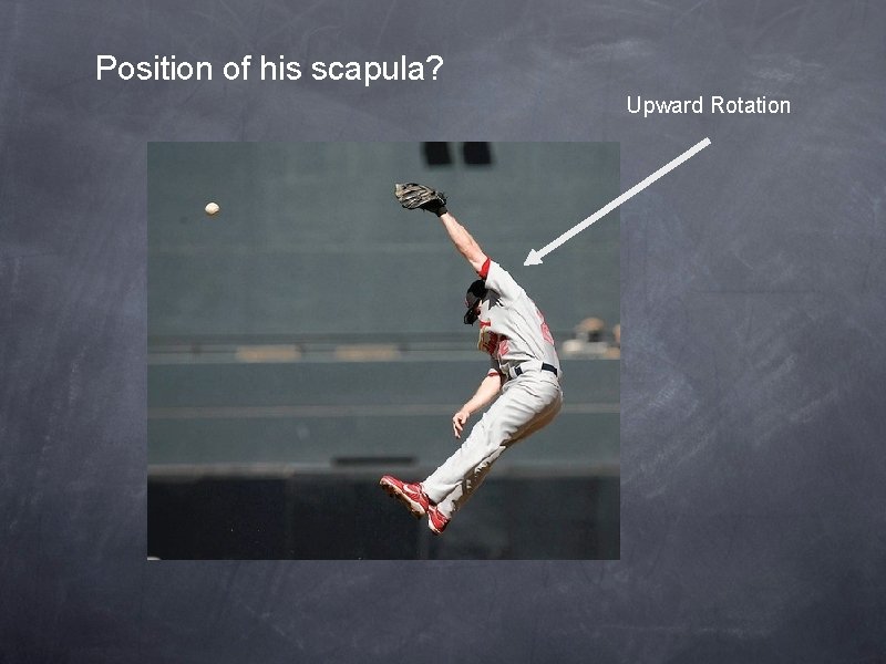 Position of his scapula? Upward Rotation 