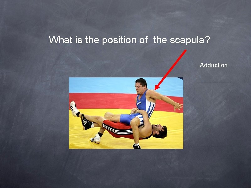 What is the position of the scapula? Adduction 