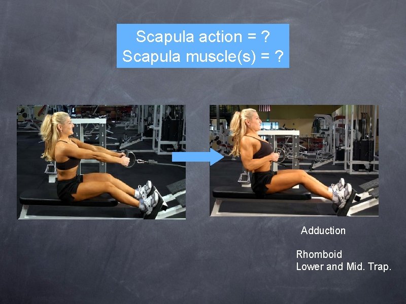 Scapula action = ? Scapula muscle(s) = ? Adduction Rhomboid Lower and Mid. Trap.