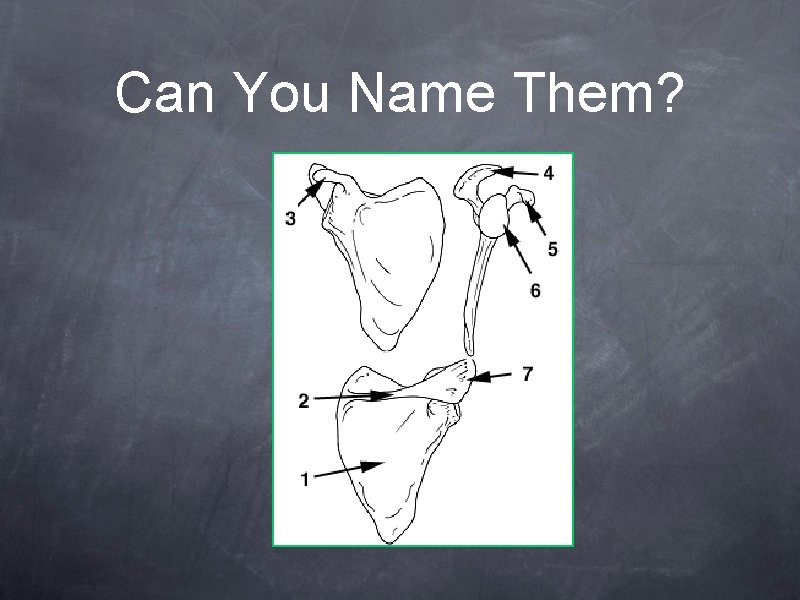Can You Name Them? 