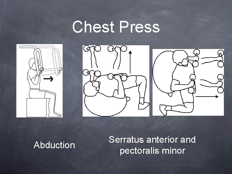 Chest Press Abduction Serratus anterior and pectoralis minor 