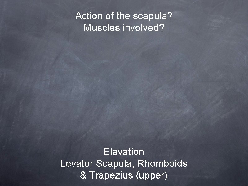 Action of the scapula? Muscles involved? Elevation Levator Scapula, Rhomboids & Trapezius (upper) 