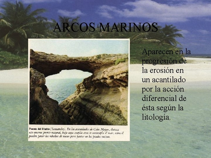 ARCOS MARINOS Aparecen en la progresión de la erosión en un acantilado por la