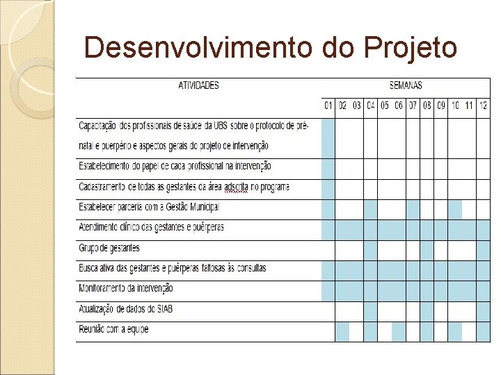 Desenvolvimento do Projeto 