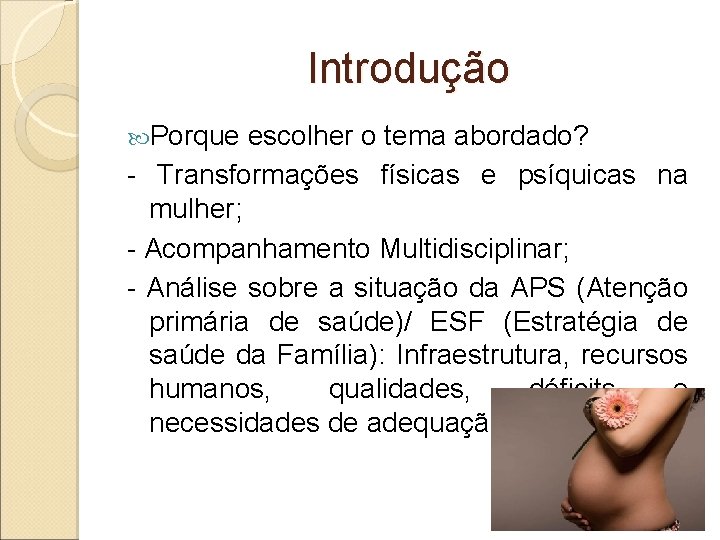 Introdução Porque escolher o tema abordado? - Transformações físicas e psíquicas na mulher; -