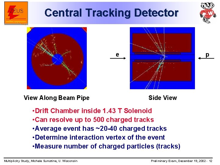 Central Tracking Detector e View Along Beam Pipe p Side View • Drift Chamber
