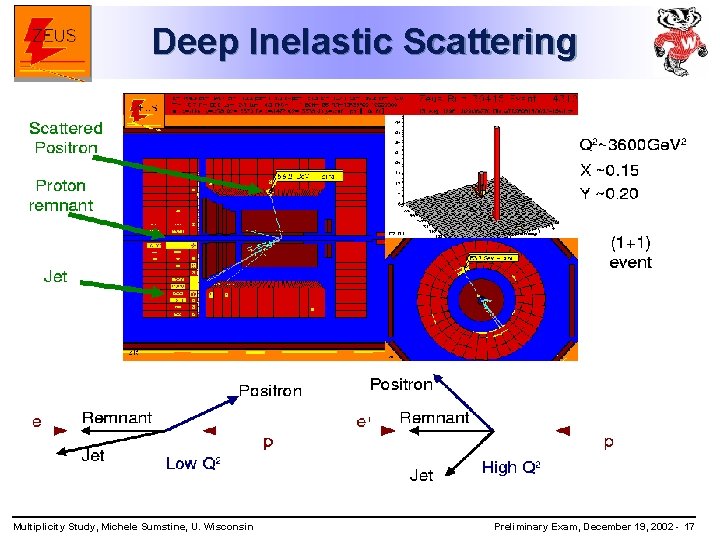 Deep Inelastic Scattering Multiplicity Study, Michele Sumstine, U. Wisconsin Preliminary Exam, December 19, 2002