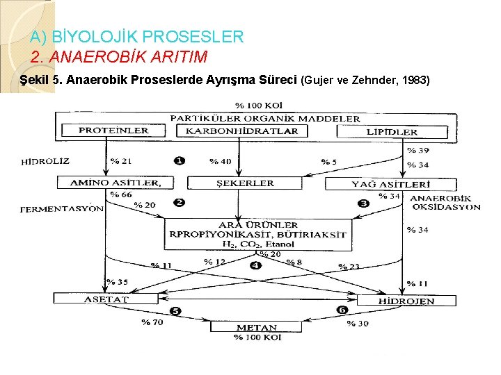 A) BİYOLOJİK PROSESLER 2. ANAEROBİK ARITIM Şekil 5. Anaerobik Proseslerde Ayrışma Süreci (Gujer ve