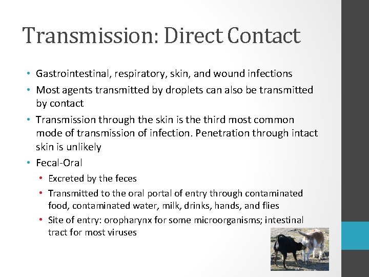 Transmission: Direct Contact • Gastrointestinal, respiratory, skin, and wound infections • Most agents transmitted
