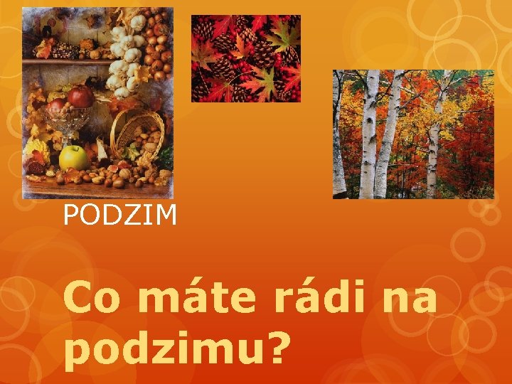 PODZIM Co máte rádi na podzimu? 