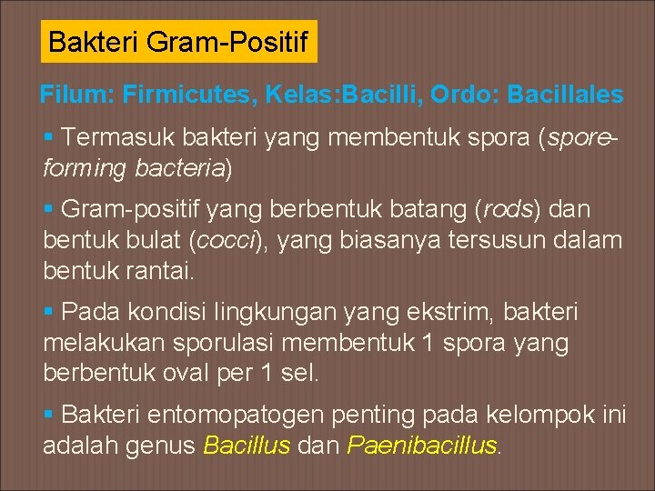 Bakteri Gram-Positif Filum: Firmicutes, Kelas: Bacilli, Ordo: Bacillales § Termasuk bakteri yang membentuk spora