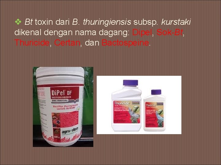 v Bt toxin dari B. thuringiensis subsp. kurstaki dikenal dengan nama dagang: Dipel, Sok-Bt,