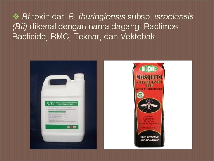 v Bt toxin dari B. thuringiensis subsp. israelensis (Bti) dikenal dengan nama dagang: Bactimos,