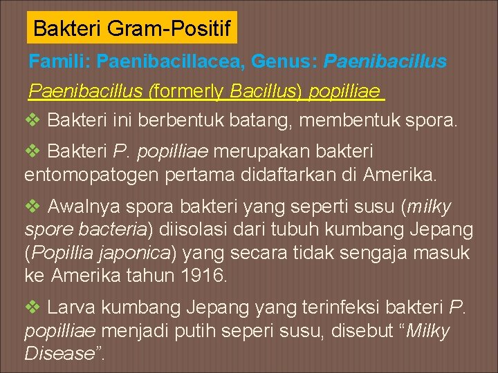 Bakteri Gram-Positif Famili: Paenibacillacea, Genus: Paenibacillus (formerly Bacillus) popilliae v Bakteri ini berbentuk batang,