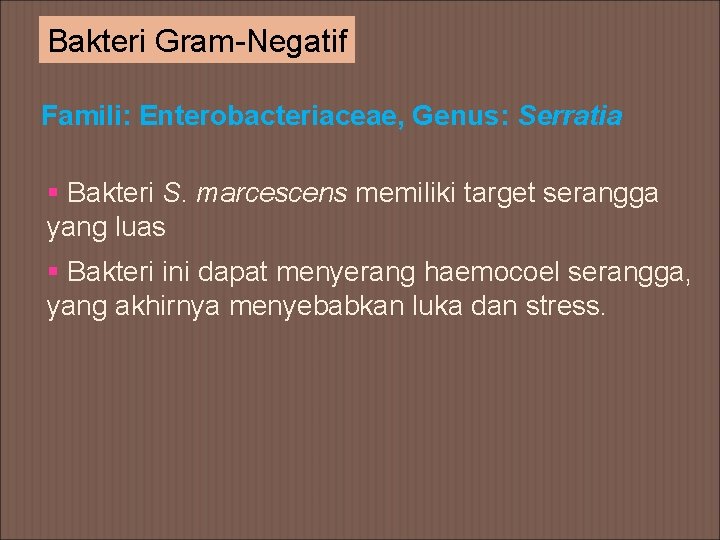 Bakteri Gram-Negatif Famili: Enterobacteriaceae, Genus: Serratia § Bakteri S. marcescens memiliki target serangga yang
