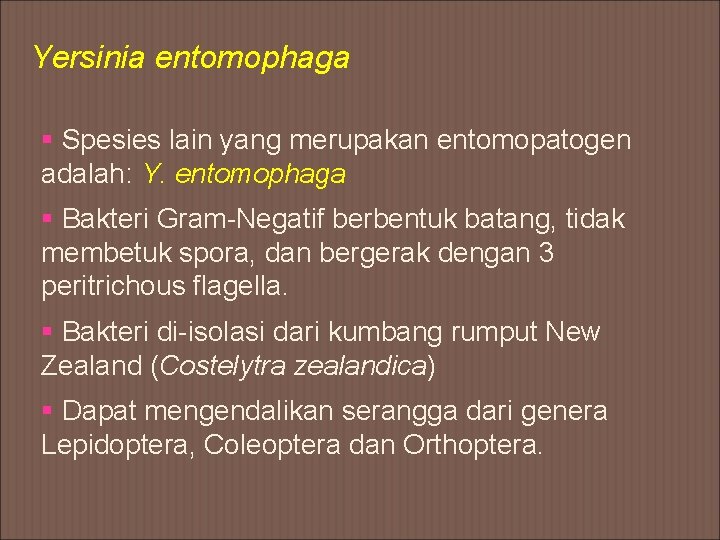 Yersinia entomophaga § Spesies lain yang merupakan entomopatogen adalah: Y. entomophaga § Bakteri Gram-Negatif