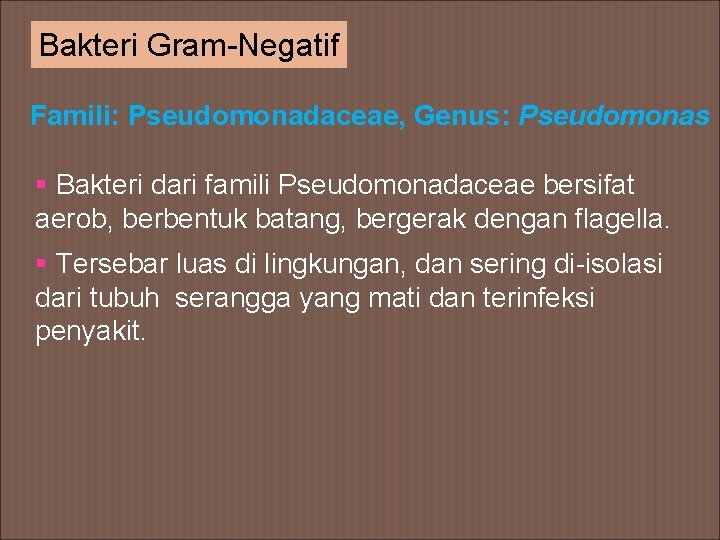 Bakteri Gram-Negatif Famili: Pseudomonadaceae, Genus: Pseudomonas § Bakteri dari famili Pseudomonadaceae bersifat aerob, berbentuk