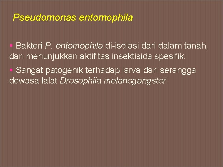 Pseudomonas entomophila § Bakteri P. entomophila di-isolasi dari dalam tanah, dan menunjukkan aktifitas insektisida