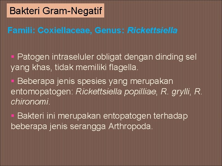 Bakteri Gram-Negatif Famili: Coxiellaceae, Genus: Rickettsiella § Patogen intraseluler obligat dengan dinding sel yang